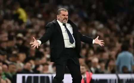 مدرب توتنهام: يتوقعون رحيلي حتى لو فزت بالبطولات