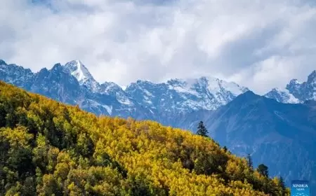 هل تصبح جبال الأرض مصدرا لوقود المستقبل؟