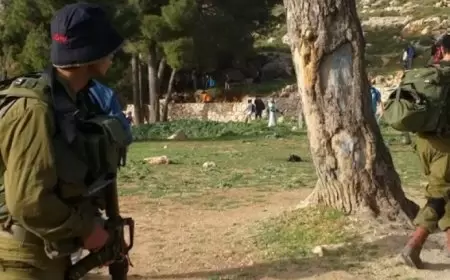 الاحتلال يقتحم منطقة برك سليمان السياحية جنوب بيت لحم