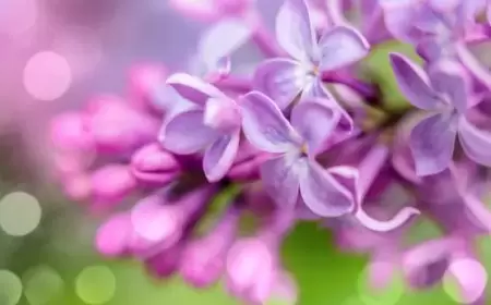 لون نراه لكنه غير موجود.. وعلماء يؤكدون "إنه مجرد خدعة"