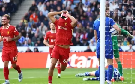 ليفربول يقترب من اللقب.. وليستر يهبط