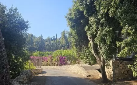 الطقس: الحرارة أعلى من معدلها السنوي بحوالي 6 درجات