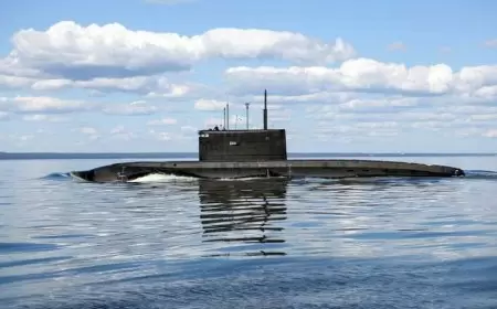 مفرزة تابعة للأسطول الروسي ترسو بميناء الجزائر