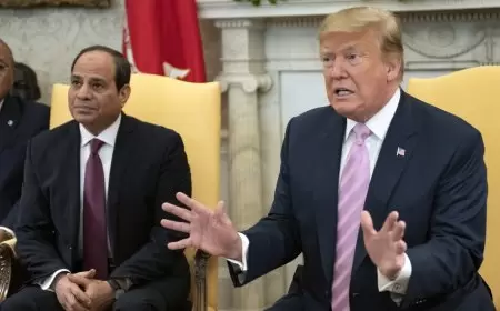 "وول ستريت جورنال": ترامب طلب من السيسي المرور المجاني عبر قناة السويس للسفن الأمريكية