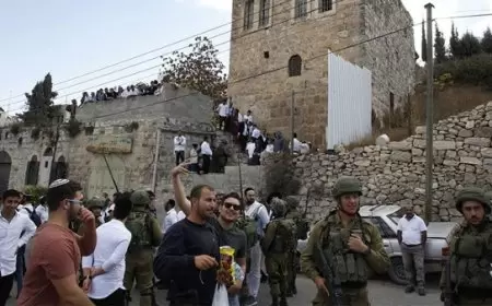 مستعمرون يعتدون على المواطنين في تل رميدة وسط مدينة الخليل