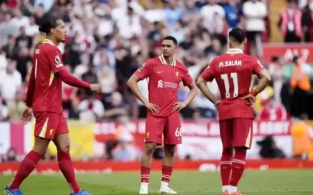 فان دايك "مصدوم" من تعامل الجماهير مع نجم ليفربول