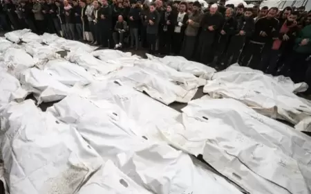 أكثر من 20 شهيداً في قطاع غزة منذ فجر اليوم