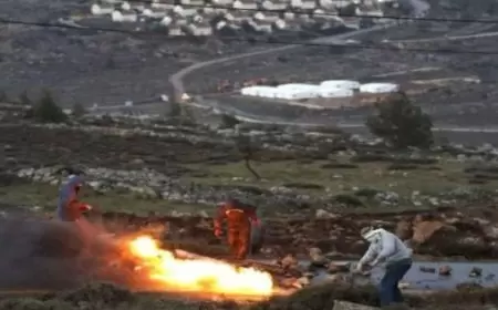 مستعمرون يحرقون أراضي شمال غرب سلفيت