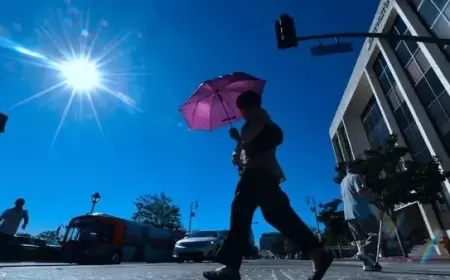 تغير المناخ يُضاعف أيام الحر الشديد في ألمانيا خلال عام واحد