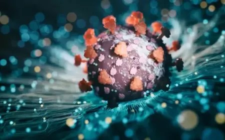 متحور كورونا الجديد "نيمبوس" شديد العدوى والعلماء يحذرون