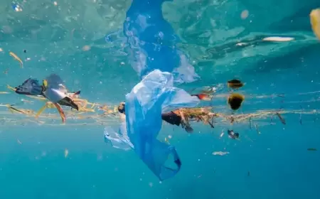 نيس تستضيف مؤتمر المحيطات.. ماكرون يحشد الجهود وواشنطن تقاطع