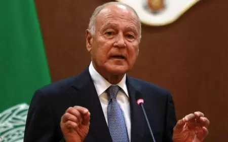 أبو الغيط يرحب بقرار خمس دول فرض عقوبات على وزيرين إسرائيليين متطرفين