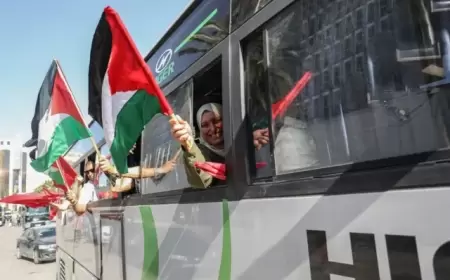 كلمة مختصرة وسط هيجان العواطف