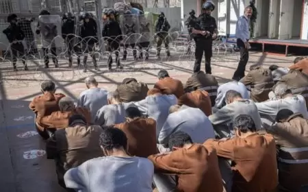ردود جديدة بشأن أماكن احتجاز 203 معتقلين من غزة في سجون الاحتلال
