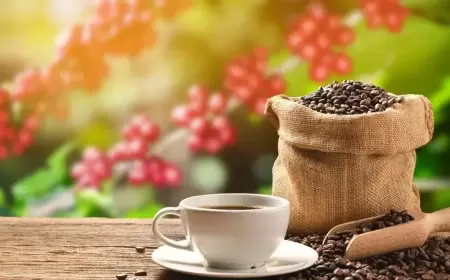 القهوة والأرز.. ما سر علاقتهما بصحة القلب؟