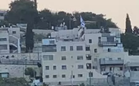 الاحتلال يستولي على بناية سكنية في اللبن الشرقية جنوب نابلس