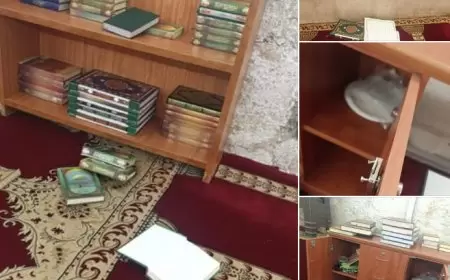 الاحتلال يقتحم المسجد الأقصى ويعتقل أربعة من حراسه وسط تصعيد خطير