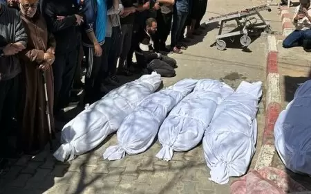 79 شهيداً بغزة خلال 24 ساعة وارتفاع حصيلة العدوان إلى 56,156