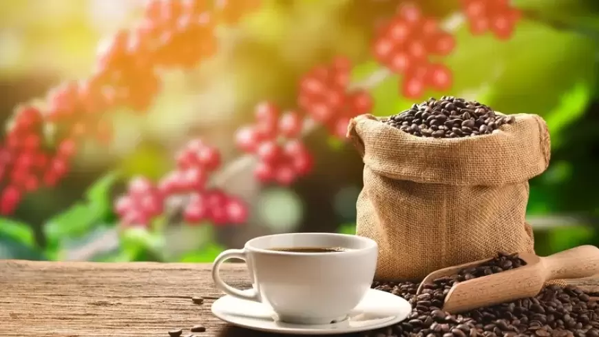 القهوة والأرز.. ما سر علاقتهما بصحة القلب؟