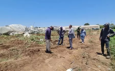 هدم دون إنذار: خسائر بـ200 ألف شيكل في سهل شويكة