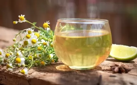 طبيب ينصح بشرب شاي البابونج قبل النوم.. "آمن وفعال"