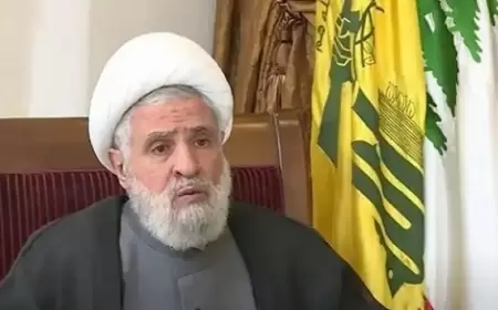 نعيم قاسم: لا يمكن أن يُطلب منا ترك السلاح في ظل استمرار العدوان