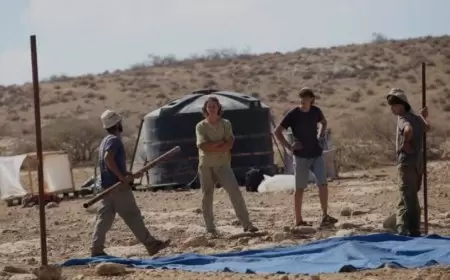 منظمة البيدر: مستوطنون ينصبون خيمة استيطانية على قمة جبل الحديب شمال الخلي