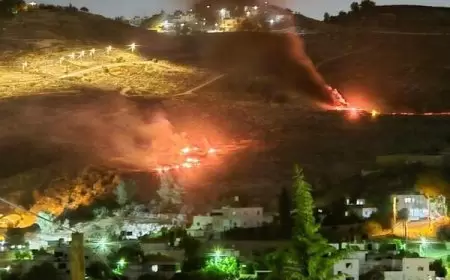 إصابة مواطنين في هجوم للمستعمرين على صوريف في الخليل