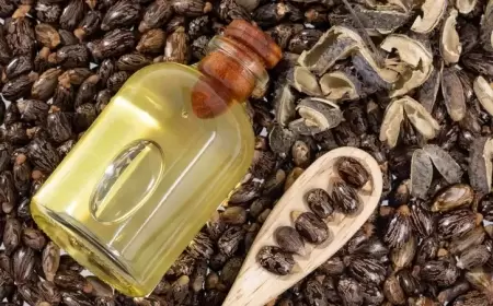 زيت الخروع.. لماذا يستحق لقب "بوتوكس الطبيعة"؟