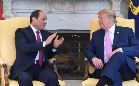 مصر تشيد بـ"حرص" ترامب على التوصل لاتفاق عادل بشأن سد النهضة
