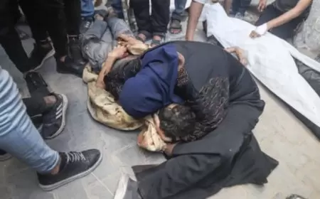 مدير مجمع الشفاء الطبي بغزة: ندعو لإغلاق مصايد الموت بشكل عاجل جدا