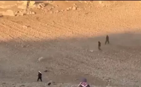 منظمة البيدر: مستوطنون يطاردون رعاة الأغنام في خربة الفخيت ويحاولون سرقة المواشي جنوب الخليل.