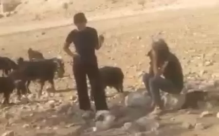 منظمة البيدر: هذا ما يعيشه سكان شلال العوجا يوميًا.