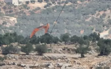 منظمة البيدر:-جرافات المستوطنين تدمر موقعًا أثريًا على جبل قرقفة جنوب نابلس وسط صمت دولي.