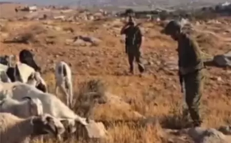 منظمة البيدر: قوات الاحتلال تُخلي مواطنين من أراضيهم في منطقة الحمرة بمسافر يطا لصالح المستوطنين.