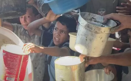 على بطوننا نحمل وطنًا"