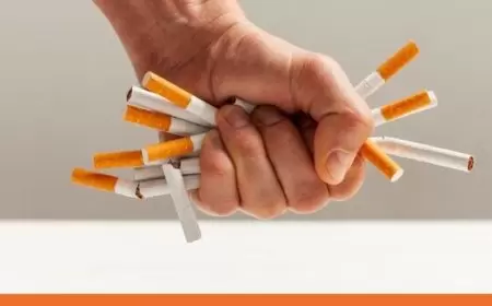 السويد تبني تجربتها: البدائل الخالية من الدخان في مواجهة التدخين