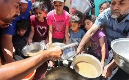 إجراءات إسرائيل الجديدة لا تُجدي نفعًا في وقف أزمة الجوع في غزة