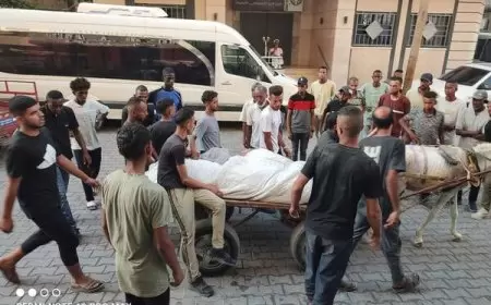 20 شهيداً في قطاع غزة منذ فجر اليوم