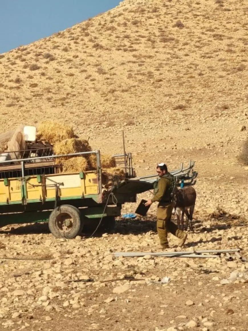 مستعمرون يسرقون معدات للثروة الحيوانية من خربة الفارسية في الأغوار الشمالية