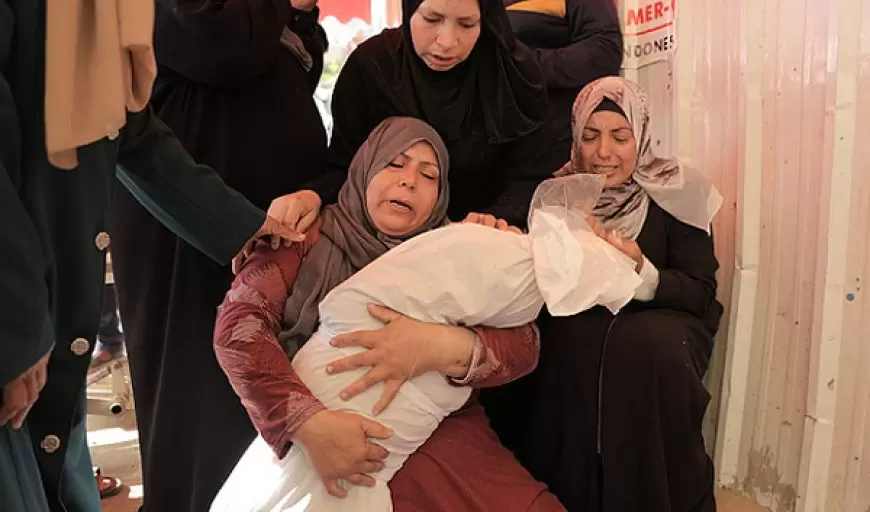 الباحث بجامعة براون أومير برتوف: أنا باحث في الإبادة الجماعية أعرفها حين أراها