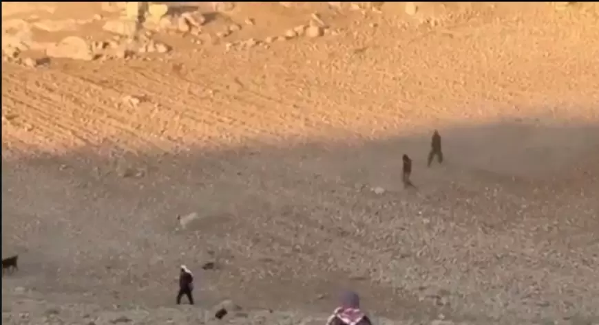 منظمة البيدر: مستوطنون يطاردون رعاة الأغنام في خربة الفخيت ويحاولون سرقة المواشي جنوب الخليل.