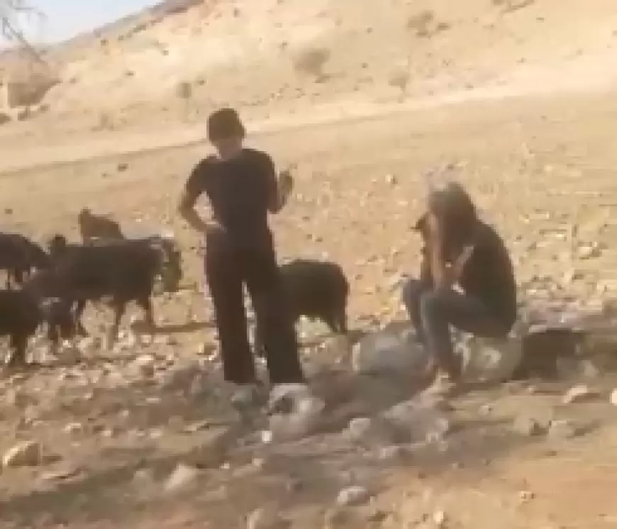 منظمة البيدر: هذا ما يعيشه سكان شلال العوجا يوميًا.