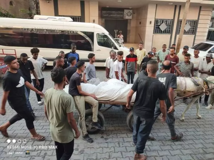 20 شهيداً في قطاع غزة منذ فجر اليوم