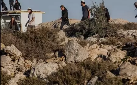 منظمة البيدر: مستعمرون يقيمون بؤرة استعمارية جديدة شرق بيت لحم