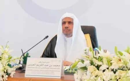 رابطة العالم الإسلامي تؤكد أهمية دعم وثيقة حلّ الدولتين لتحقيق السلام في فلسطين