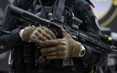 سلوفينيا تتخذ خطوة تاريخية بحظر تجارة الأسلحة مع الاحتلال الإسرائيلي