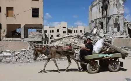 إسرائيل وسرقة الحمير من غزة