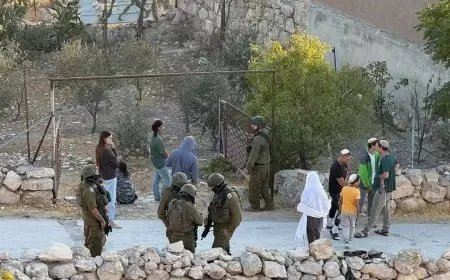 منظمة البيدر: مستوطنون يؤدون طقوسًا تلمودية في قرية التوانة جنوب الخليل تحت حماية جيش الاحتلال.