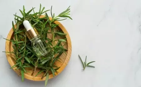 يعزز نمو الشعر.. فوائد عديدة لإكليل الجبل